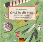Friedric, Sabine Friedrichson, Josef Guggenmos, Maurer, Ilja Richter, Hans-Joachi Gelberg... - Groß ist die Welt, 1 Audio-CD (Hörbuch)