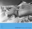 Johannes Vogel, Gebrüder Wehrli, Gebrüder Wehrli, Paul Hugger - Gebrüder Wehrli. Pioniere der Alpin-Fotografie
