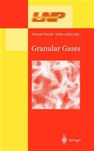 Luding, Luding, Stefan Luding, Thorste Pöschel, Thorsten Pöschel - Granular Gases