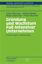 Herber Berteit, Herbert Berteit, Birgit Ossenkopf, Fran Pleschak, Franz Pleschak, Frank Stummer - Gründung und Wachstum FuE-intensiver Unternehmen