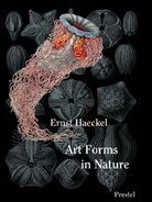 Ernst Haeckel - Ernst Haeckel, Kunstformen der Natur