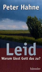 Peter Hahne - Leid - Warum lässt Gott das zu? (Motiv Landschaft)