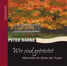Peter Hahne - Wir sind getröstet