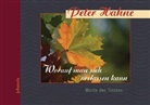 Peter Hahne - Worauf man sich verlassen kann
