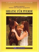 pamela Hannay - Shiatsu für Pferde