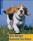 Brigitte Harries - Ein Welpe kommt ins Haus