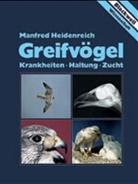 Manfred Heidenreich - Greifvögel