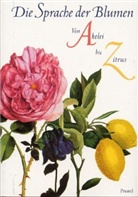 Marina Heilmeyer - Die Sprache der Blumen