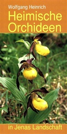 Wolfgang Heinrich - Heimische Orchideen in Jenas Landschaft