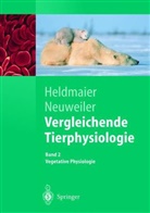 Gerhard Heldmaier, Gerhard Neuweiler - Vergleichende Tierphysiologie - 2: Vegetative Physiologie