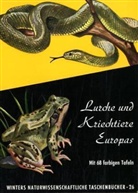 Walter Hellmich - Lurche und Kriechtiere Europas
