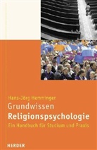 Hansjörg Hemminger - Grundwissen Religionspsychologie