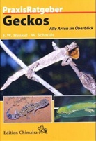 Friedrich-Wilhelm Henkel, Wolfgang Schmidt - Geckos