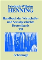 Markus A. Denzel, Friedrich W. Henning, Friedrich-Wilhelm Henning, Marku A Denzel, Markus A Denzel, Markus A. Denzel... - Handbuch der Wirtschafts- und Sozialgeschichte Deutschlands, 3 Bde. in 4 Teilbdn. - 3/2: Deutsche Wirtschafts- und Sozialgeschichte in der ersten Hälfte des 20. Jahrhunderts. Tl.2