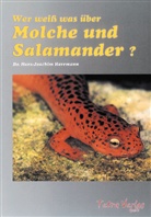 Hans-Joachim Herrmann - Wer weiß was über Molche und Salamander?