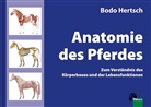 Bodo Hertsch, Uwe Spenlen, Uwe Spenlen - Anatomie des Pferdes