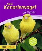 Harro Hieronimus - Mein Kanarienvogel zu Hause