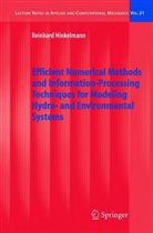 Reinhard Hinkelmann - Efficient Numerical Methods and Information-Processing Techniques for Modeling Hydro- and Environmental Systems
