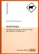 Bernd Hoffmann - Andrologie