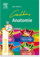 Björn Hoffmann - Crashkurs Anatomie