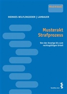 Barbara Hoinkes-Wilfingseder, Barbar Hoinkes-Wilflingseder, Barbara Hoinkes-Wilflingseder, Heimo Lambauer - Musterakt Strafprozess