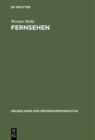 Werner Holly - Fernsehen