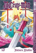 Katsura Hoshino - D.Gray-Man - Bd.13: D.Gray-Man - Stimmen in der Dunkelheit