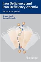 Renate Huch, Roland Schaefer, Roland Schäfer - Iron Deficiency and Iron Deficiency Amenia