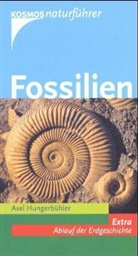 Axel Hungerbühler - Fossilien