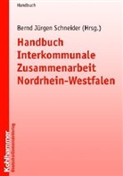 Bernd J. Schneider - Handbuch Interkommunale Zusammenarbeit Nordrhein-Westfalen
