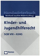 Reinhard J. Wabnitz, Reinhard Joachim Wabnitz - Handwörterbuch Kinder- und Jugendhilferecht