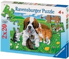 Haustiere (Kinderpuzzle)