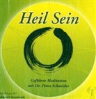 Petra Schneider, Petra Schneider - Heil Sein, 1 Audio-CD (Hörbuch)