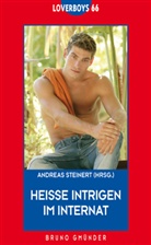 Andreas Steinert - Heiße Intrigen im Internat