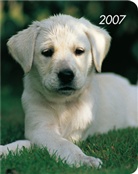 Hund, Hard Cover Diary