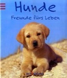 Hunde - Freunde fürs Leben
