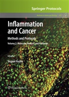 Serguei V. Kozlov, Sergue V Kozlov, Serguei V Kozlov - Inflammation and Cancer