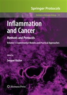 Serguei V. Kozlov, Sergue V Kozlov, Serguei V Kozlov - Inflammation and Cancer