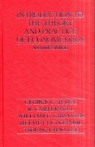 Kenneth White - Introduction To The Theory And Practice Of Econometrics