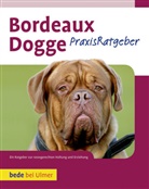 Joseph Janisch - Bordeaux Dogge