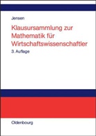 Uwe Jensen - Klausursammlung zur Mathematik für Wirtschaftswissenschaftler