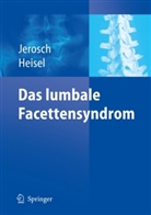 Jürgen Heisel, Jör Jerosch, Jörg Jerosch - Das lumbale Facettensyndrom