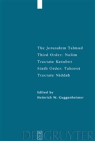 Heinrich W. Guggenheimer, Heinric W Guggenheimer, Heinrich W Guggenheimer - The Jerusalem Talmud: Tractate Ketubot. 6.Order