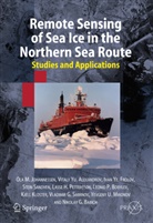 V. Alexandrov, Vital Alexandrov, Vitali Alexandrov, Nikolay G. Babich, L. P. Bobylev, Leonid P. Bobylev... - Remote Sensing of Sea Ice in the Northern Sea Route