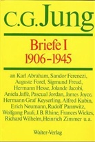 Carl G. Jung - Gesammelte Werke: Briefe, 3 Bde.