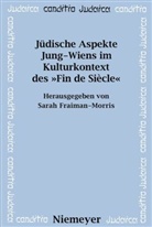 Sara Fraiman-Morris, Sarah Fraiman-Morris - Jüdische Aspekte Jung-Wiens im Kulturkontext des 'Fin de Siecle'