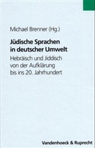Michael Brenner, Michael von Brenner - Jüdische Sprachen in deutscher Umwelt