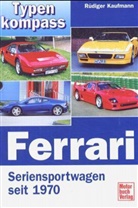 Rüdiger Kaufmann - Ferrari