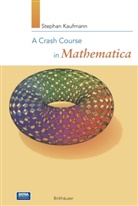 Stephan Kaufmann - A Crash Course in Mathematica