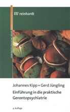 Gerd Jüngling, Johanne Kipp, Johannes Kipp - Einführung in die praktische Gerontopsychiatrie